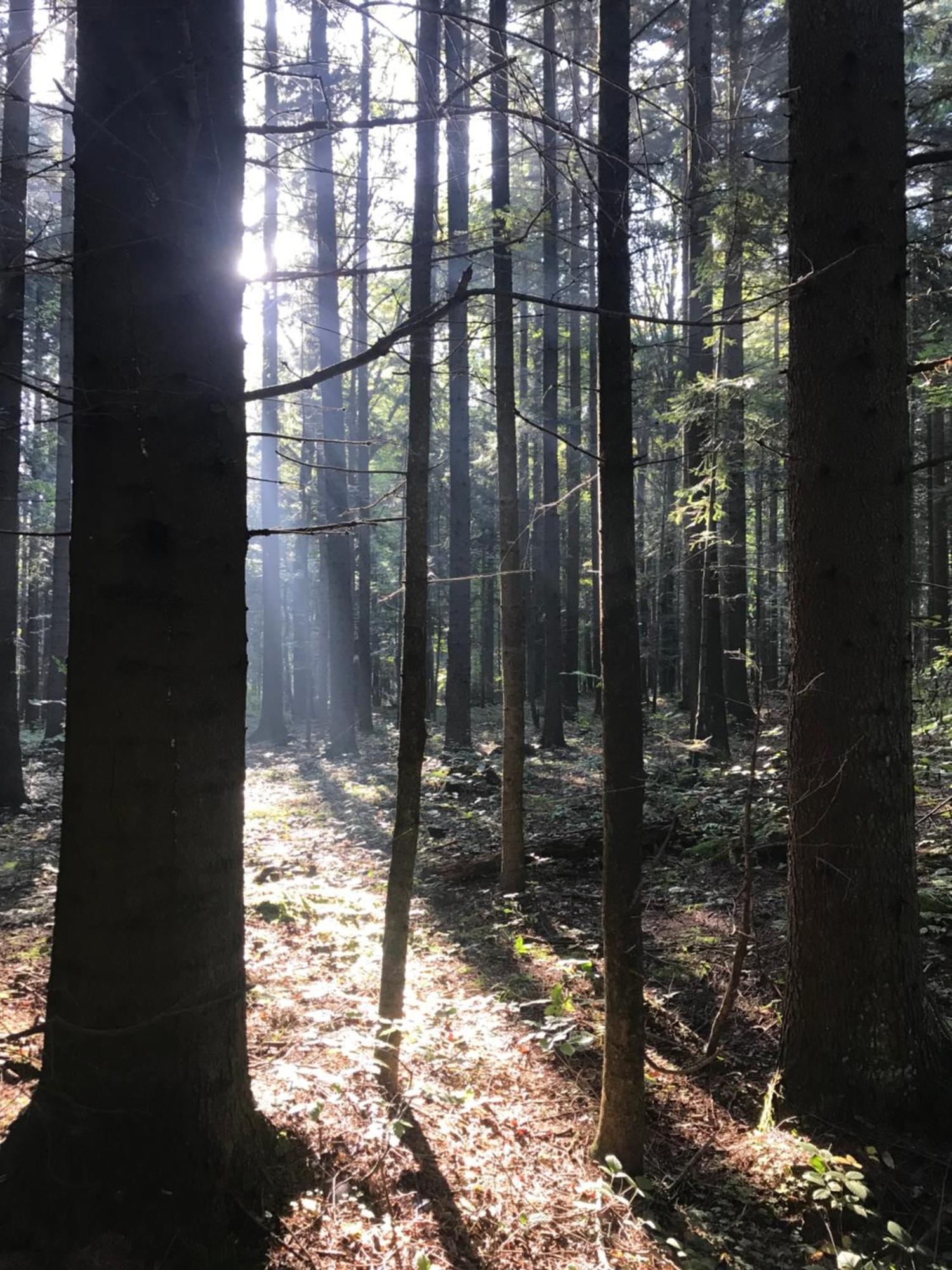 Zakatek Hotel Wysowa-Zdroj Bagian luar foto